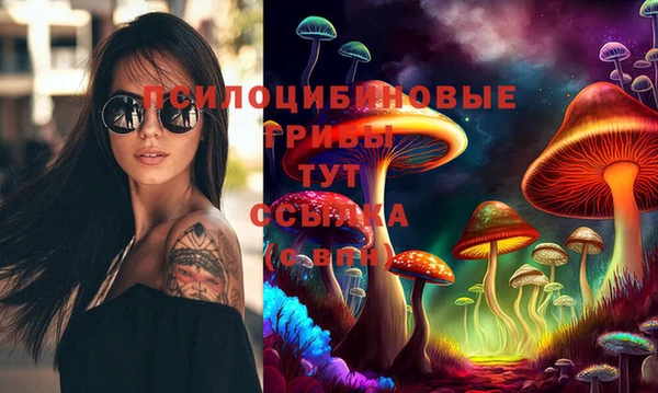 герыч Иннополис