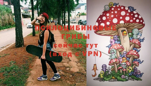 герыч Иннополис