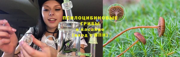 прущая мука Инта