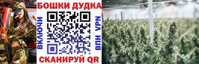 Бошки Шишки план  Купить  Бирюч 